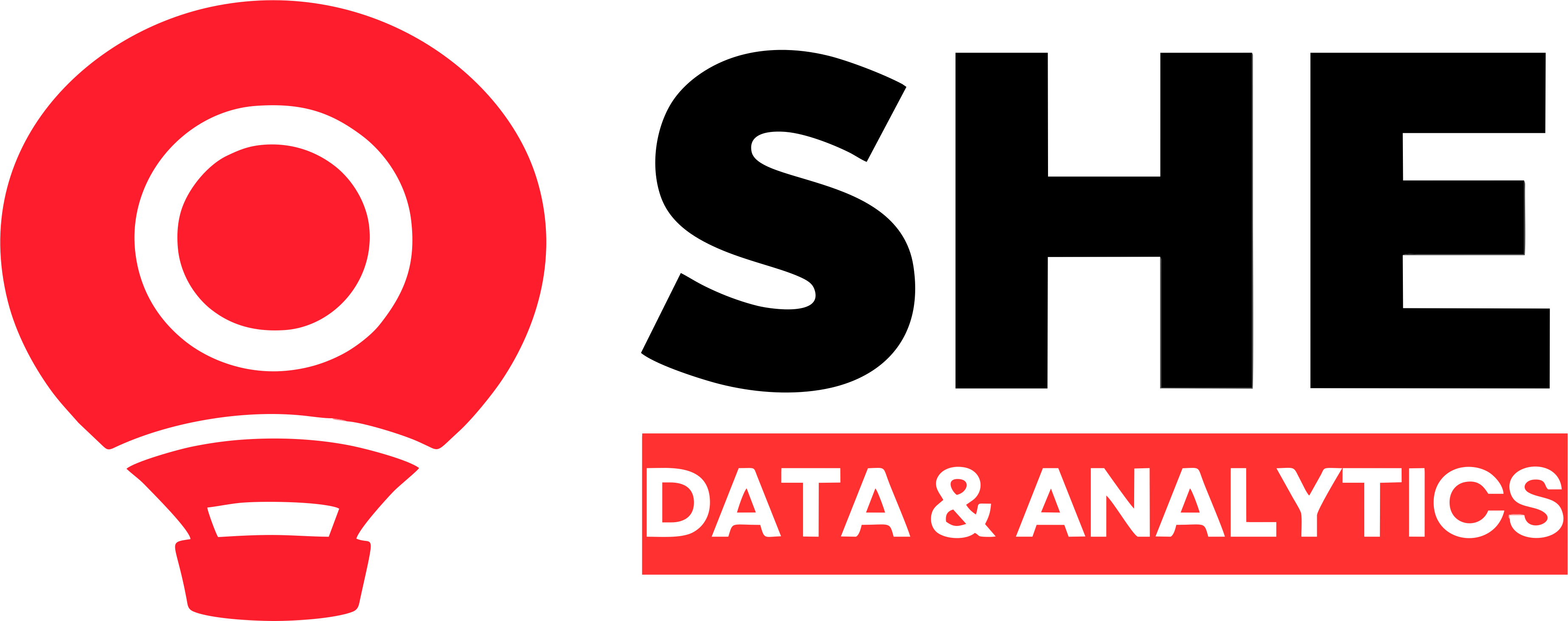 Logo SHE Data & Analytics